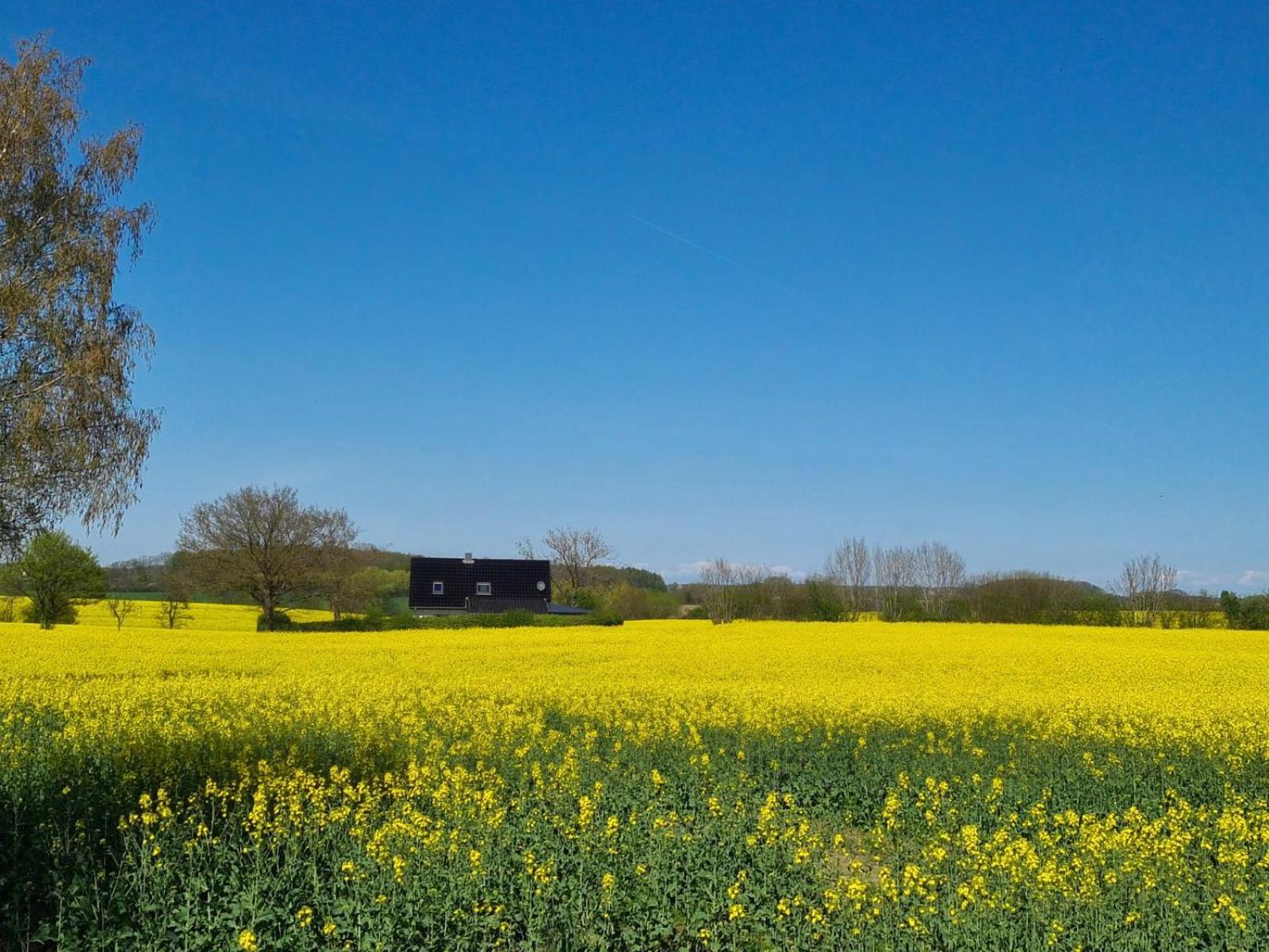 Ferienhaus Loimoos Schnarup-Thumby Exterior foto